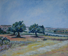 paysage-andalou