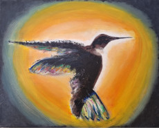 colibri-dans-la-lumiere