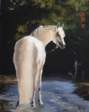 le-cheval-blanc